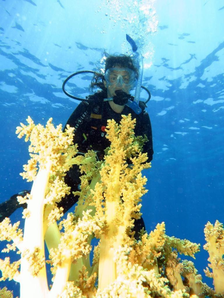 Aida Hotel Sharm El Sheikh Luaran gambar