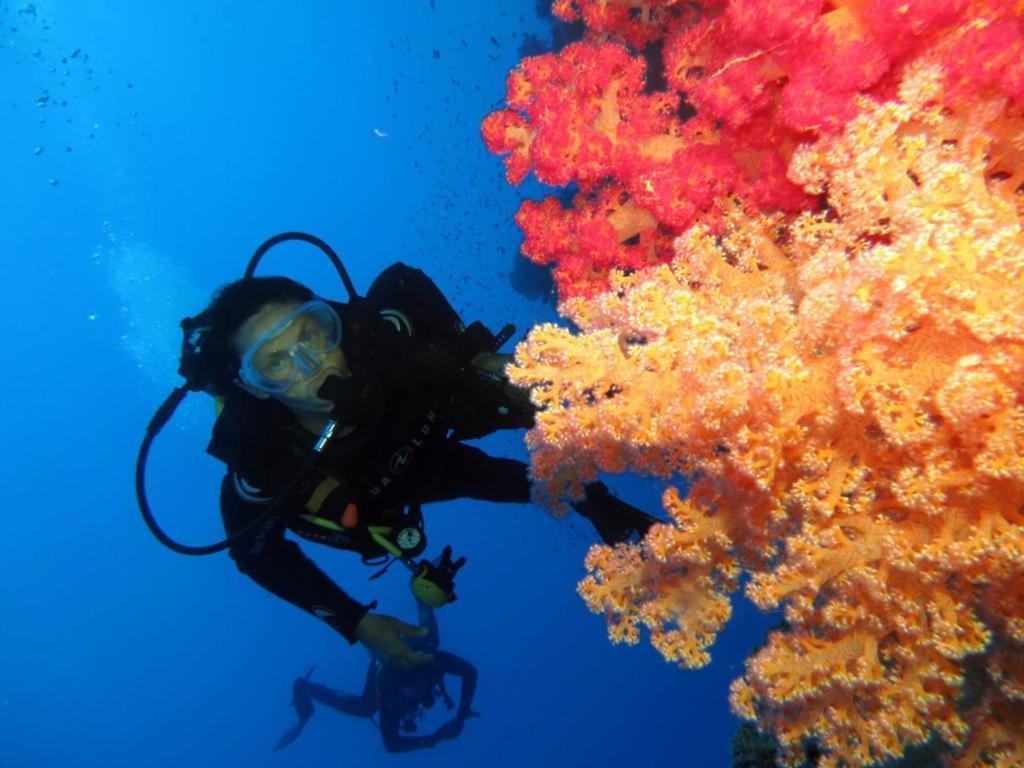 Aida Hotel Sharm El Sheikh Luaran gambar